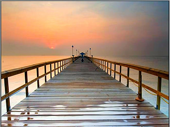 Beach View Bridge, cool, , view bridge, beach HD wallpaper