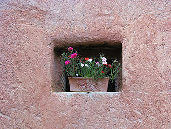 buon viaggio Anna., wall, flowers HD wallpaper
