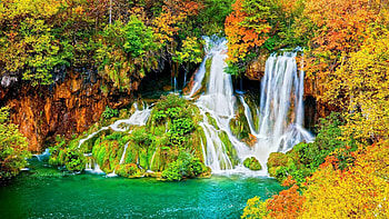 Waterfall Autumn Nature Waterfalls Animated HD wallpaper