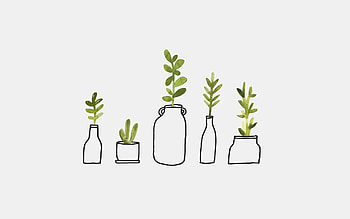 Plant Aesthetic Laptop, Sage Green Laptop HD wallpaper