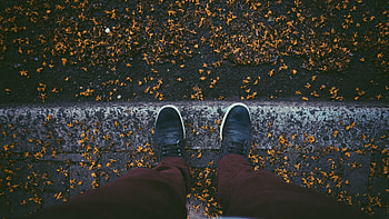 Sneakers Autumn Leaves Fallen , autumn, sneakers, leaves HD wallpaper