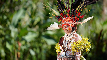 Papua New Guinea jungle, Majestic fjords, Jacada travel, Unique experiences HD wallpaper