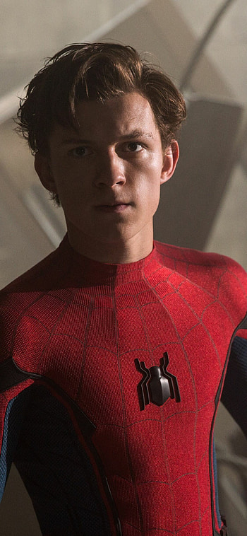 Tom Holland, Celeb, Spiderman Homecoming HD phone wallpaper