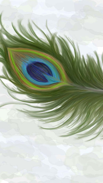 Peacock Feather, Morpankh, Art HD phone wallpaper