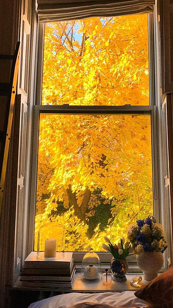 Yellow Aesthetic, Yellow Aesthetic Door HD phone wallpaper