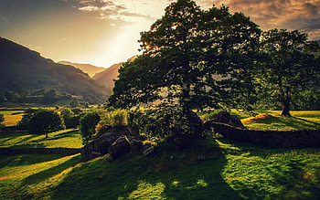 England landscapes, Breathtaking views, Serene countryside, Nature's haven HD wallpaper