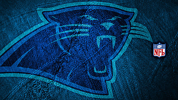 33 Carolina Panthers | Backgrounds - Abyss HD wallpaper