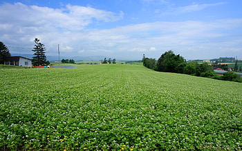 Hokkaido Landscape 32 - HQ, landscape, , hq, hokkaido HD wallpaper