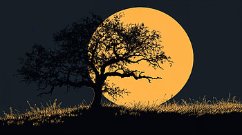 Elegant Tree Silhouette - Ultra, tree, tree silhouette, moon, silhouette, night HD wallpaper