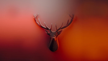 Deer, muzzle, horns, abstract, minimal HD wallpaper
