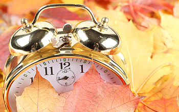 *** Time is running out .... we have autumn ***, colorful, leaves, oklock, autumn, nature HD wallpaper