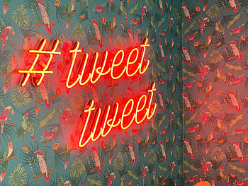 Birds, Words, Pattern, Neon, Inscription, Twitter HD wallpaper