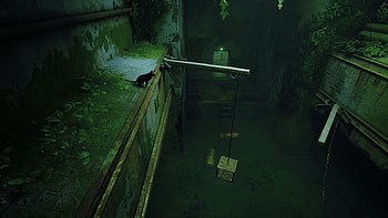 stray 6, video game, Stray HD wallpaper