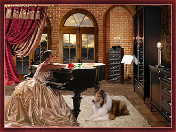 BEAUTIFUL MUSIC, dog, piano, beautiful, dress, female HD wallpaper