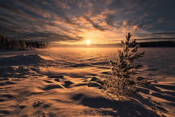 dawn on the snowy plain, plain, dawn, snow, house HD wallpaper