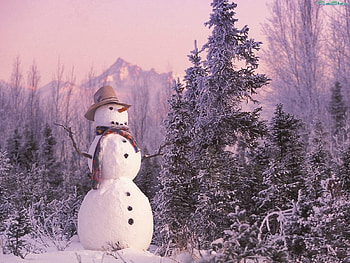 Landscape, Winter, New Year, Snow, Fir-Trees, Christmas, Xmas, Snowman HD wallpaper
