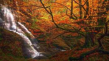 Uguna Waterfall, Basque Country, Spain, forest, river, leaves, fall, colors, trees, autumn HD wallpaper