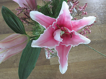 A bouquet of Pink Lilies, White, Green, graphy, Lilies, Flowers, Pink HD wallpaper