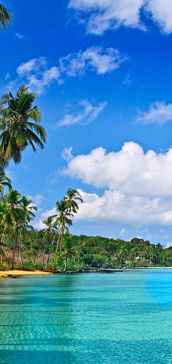 Antigua and Barbuda, Travels, Caribbean , Samantha cunningham HD phone wallpaper