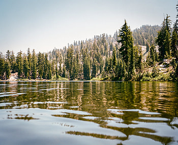 Mamiya 7ii, Cliff Englert, Blog post HD wallpaper