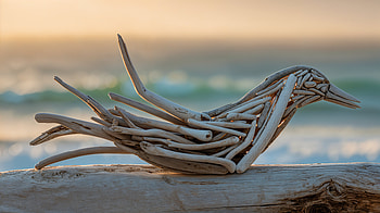 Driftwood Bird Sculpture — Seaside, Driftwood Sculpture, Bird HD wallpaper