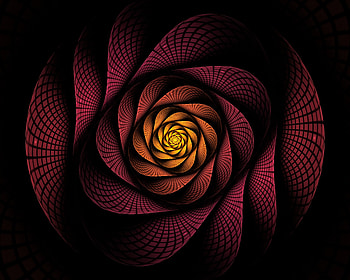 Swirling, Abstract, Dark, Fractal, Spiral, Involute HD wallpaper