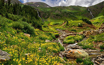 Nature, Flowers, Grass, Stones, Mountains, Greens, Relief, Murmur, Gurgling, Brooks, Streams HD wallpaper