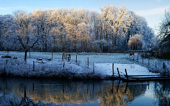 Nature, Autumn, Lake, Morning, Frost, Hoarfrost, Fencing, Enclosure, November HD wallpaper