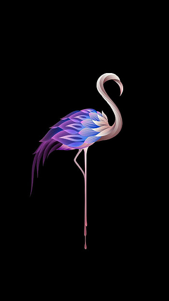 Arabesque flamingos, Pinterest pin, , Stylish designs HD phone wallpaper