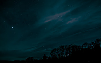 Trees, Sky, Stars, Night, Dark HD wallpaper