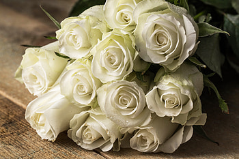 White flowers, White, Roses, Flowers, Bouquet HD wallpaper