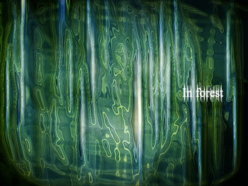 In forest, in-forest HD wallpaper