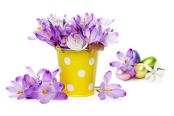 Crocus Flowers, bouquet, crocus, easter, flowers, eggs HD wallpaper