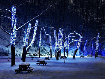 night lights, nature, lights, snow HD wallpaper