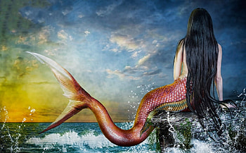 Mermaid, digital, cg, fantasy, art, beautiful, girl, woman HD wallpaper