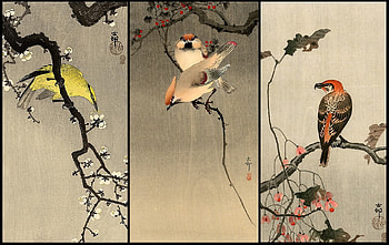 Koson Triptych, artwork, birds, branches, oriental, berries leaves, blossom HD wallpaper