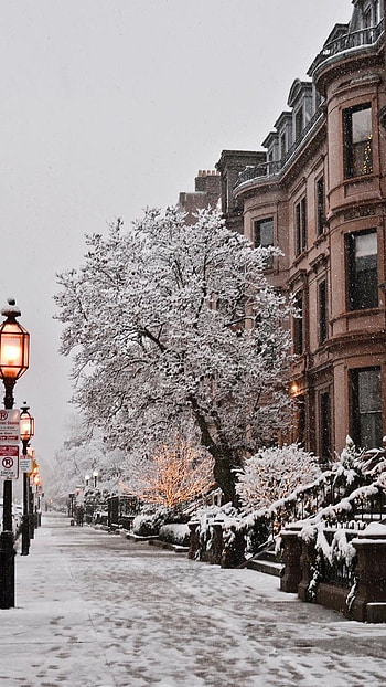 Winter Aesthetic, Background HD phone wallpaper