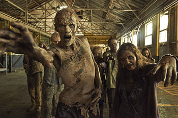 The Walking Dead, Tv Show HD wallpaper