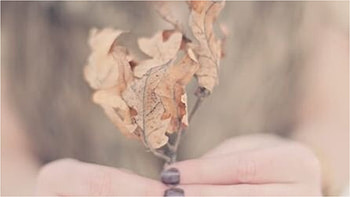 in my hand, leaf, nature, woman, hand HD wallpaper