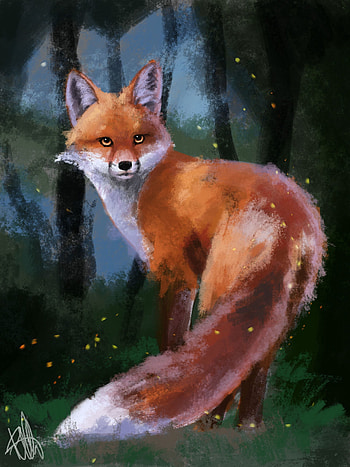 Art, Fox, Forest, Sight, Opinion, Animal HD phone wallpaper