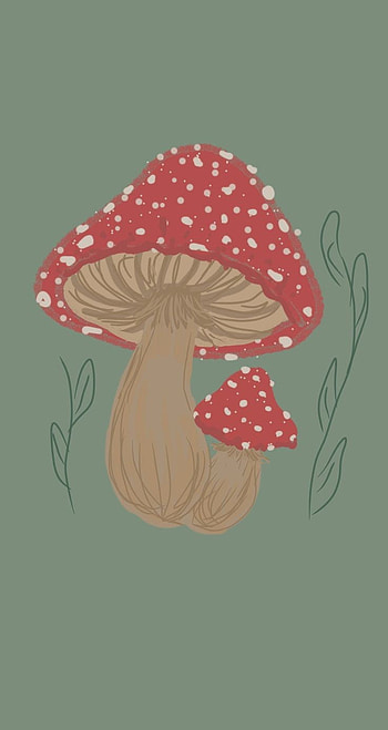 Mushroom, head, red HD phone wallpaper