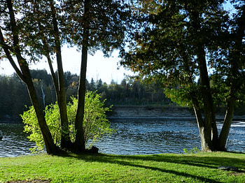 Beautiful River, Otonabe River, graphy, Grass, Trees, Nature, Lock 23 HD wallpaper