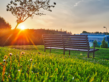 Nature, Summer, Park, Bench, Sunlight HD wallpaper
