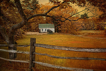 Just Over the Fence, field, house, fence, autumn, beautiful, peaceful, tree HD wallpaper