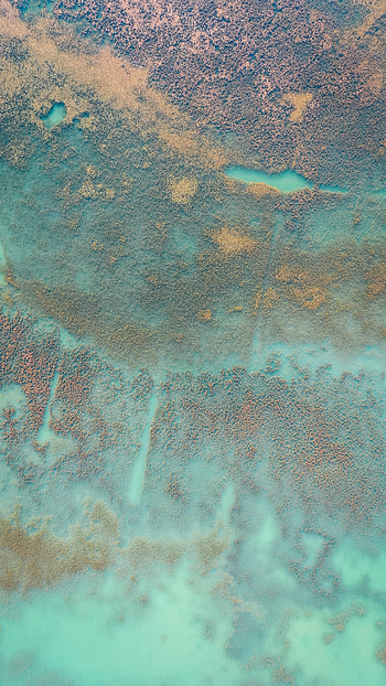 Nature, Water, Trees, View From Above, Fog HD phone wallpaper