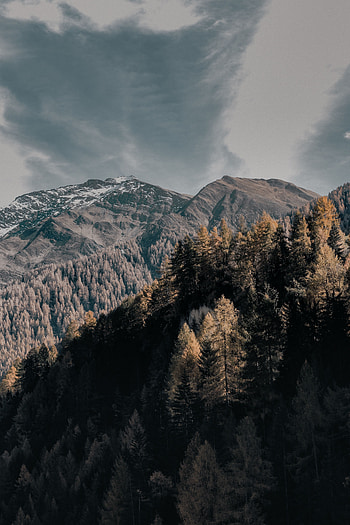 Nature, Trees, Sky, Mountains, Clouds, Top, Tops HD phone wallpaper
