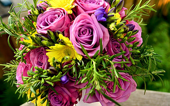 Plants, Flowers, Bouquets HD wallpaper