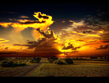 Gorgeous sunset, bush, beautiful, grass, orange, lake, yellow, fence, clouds, trees, greenery, road, nature, water, evening, sunset HD wallpaper