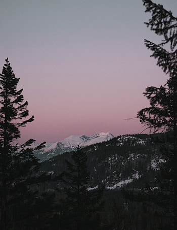 Nature, Trees, Sunset, Sky, Mountain, Vertex, Top, Snow Covered, Snowbound HD phone wallpaper