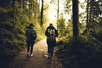Two friends walk along a forest path, enveloped by lush greenery and tall trees. HD wallpaper